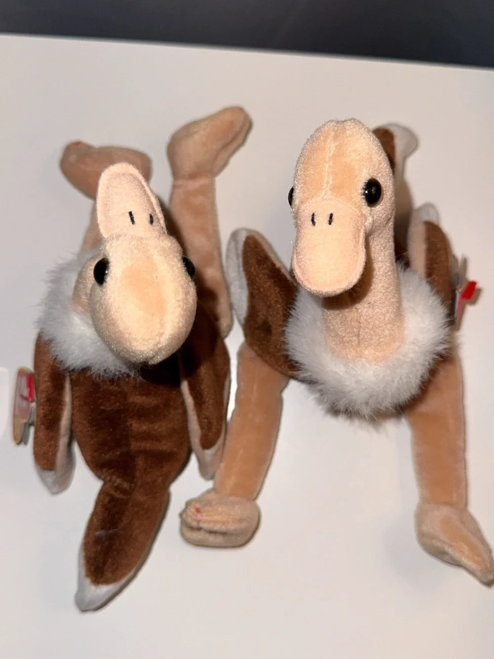 Ty Plush Ostrich Twins — Brown & Cream Beanie Pair